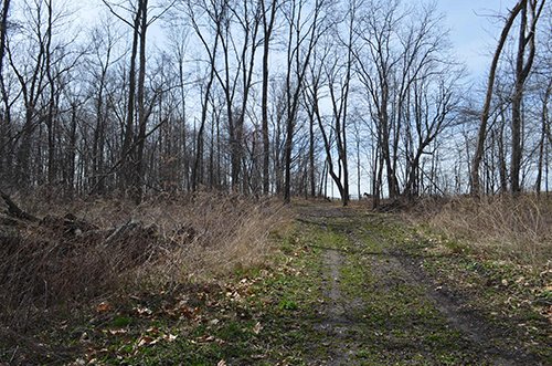 Property photo 132 - REAL ESTATE & PERSONAL PROPERTY AUCTION, 140 Acres offered in 8 Tracts or Combinations in Steuben County